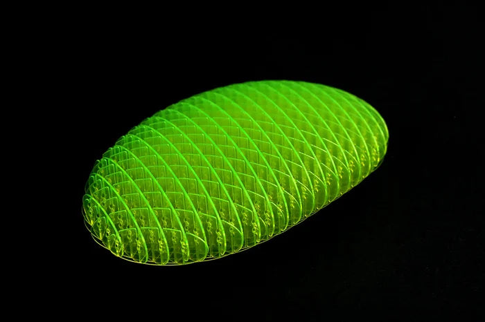 Worm Big Fidget Toy