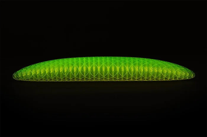 Worm Big Fidget Toy