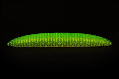 Worm Big Fidget Toy