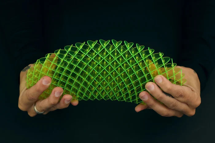 Worm Big Fidget Toy