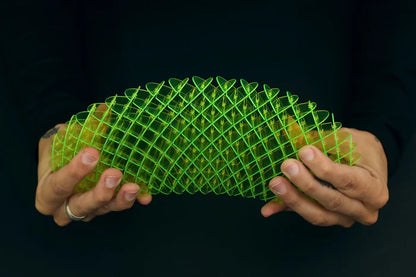 Worm Big Fidget Toy